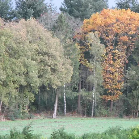 Herberg De Hoeve Van Loo 3*